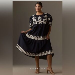 NWT Embroidered Dress